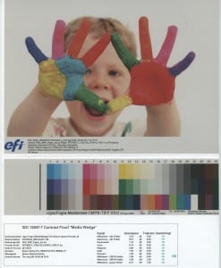 Contract Proof in PSO SNP Paper FOGRA 42, including media wedge and measuring protocol